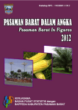 Pasaman Barat Dalam Angka 2012